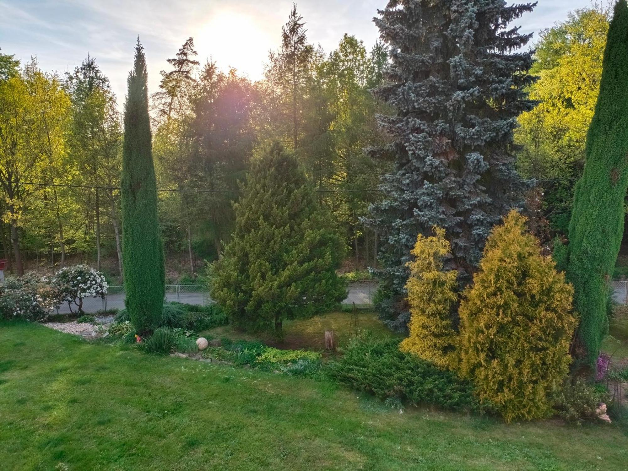 Apartman Za Lesem Cerveny Kostelec Exterior photo